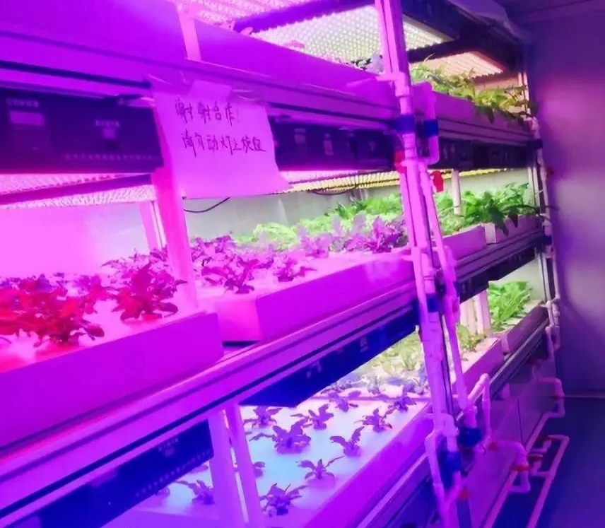 植物工廠(chǎng).jpg 植物工廠(chǎng).jpg