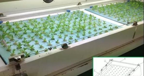 升降式營(yíng)養(yǎng)液栽培槽.jpg 升降式營(yíng)養(yǎng)液栽培槽.jpg