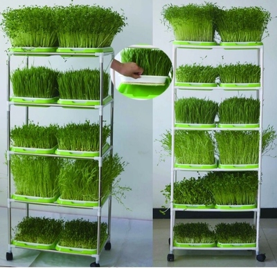 栽培架.jpg 栽培架.jpg