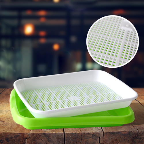 芽苗菜盤(pán).jpg 芽苗菜盤(pán).jpg