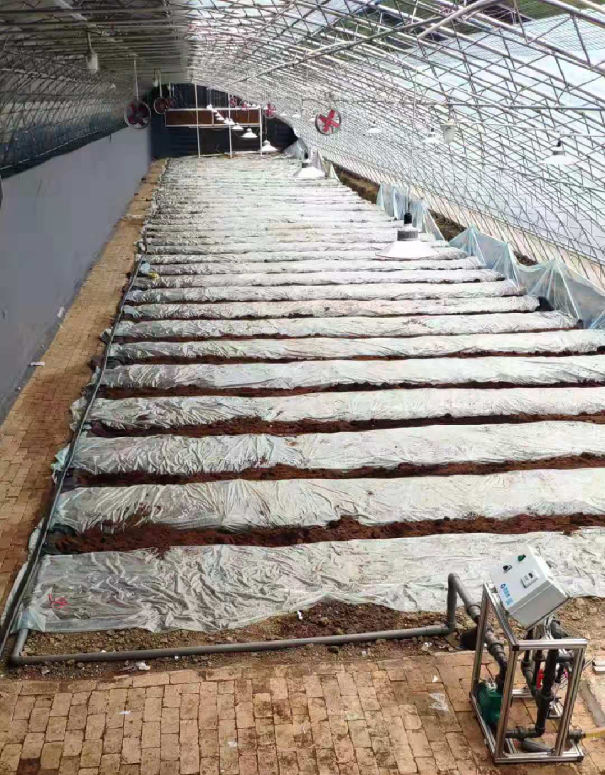 戳我試試 戳我試試