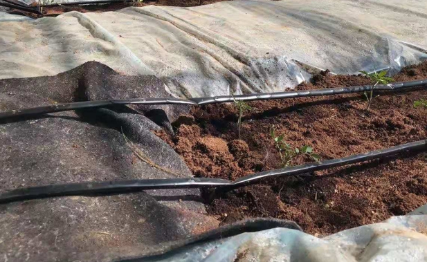 戳我試試 戳我試試