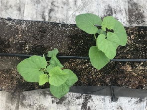 戳我試試 戳我試試