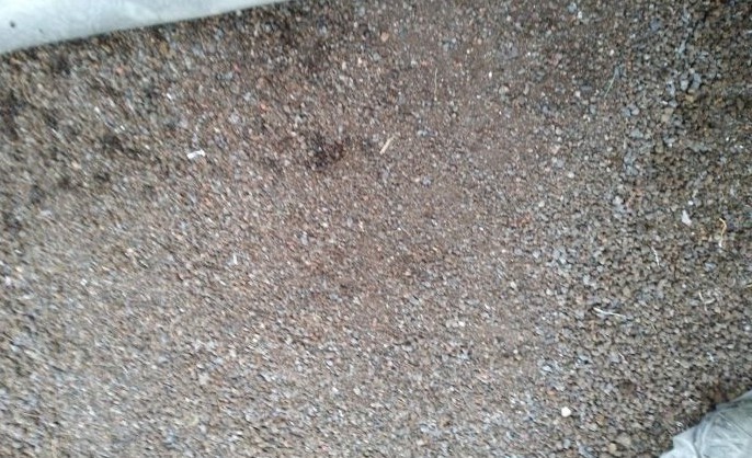 基質.jpg 基質.jpg