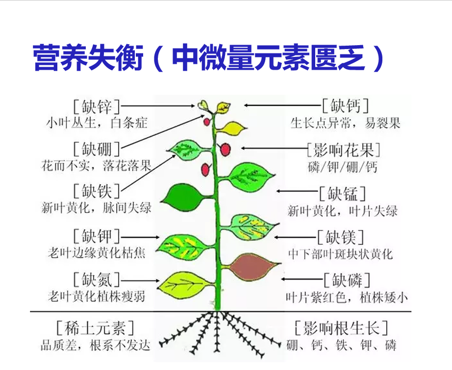 7d1f6896f4d40a91eb03d4377b92a41.png 7d1f6896f4d40a91eb03d4377b92a41.png