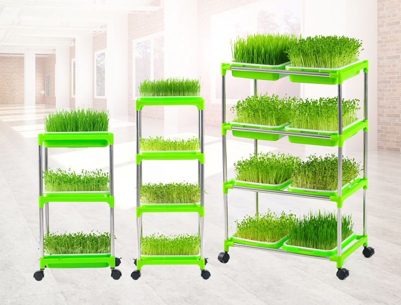 無土栽培芽苗菜栽培架.jpg 無土栽培芽苗菜栽培架.jpg