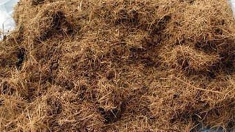 無土栽培基質(zhì)椰糠.jpg 無土栽培基質(zhì)椰糠.jpg