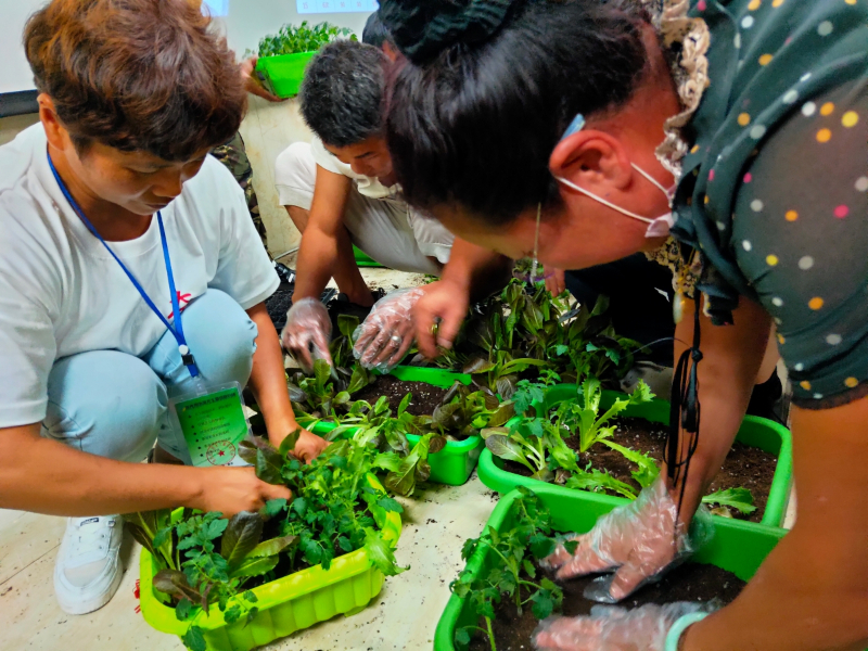 移栽.jpg 移栽.jpg