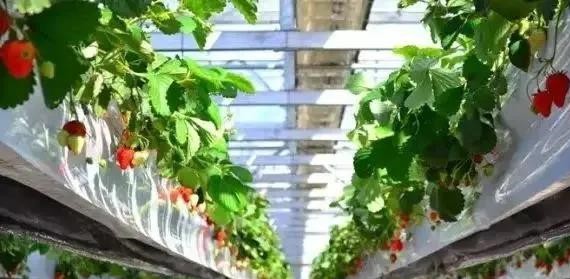 固定吊掛式.jpg 固定吊掛式.jpg