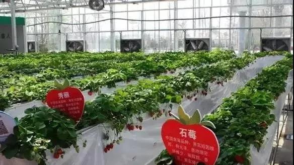 單層高架.jpg 單層高架.jpg