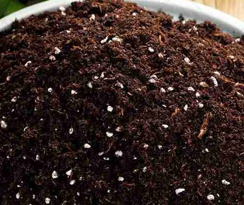 無土栽培基質(zhì).jpg 無土栽培基質(zhì).jpg