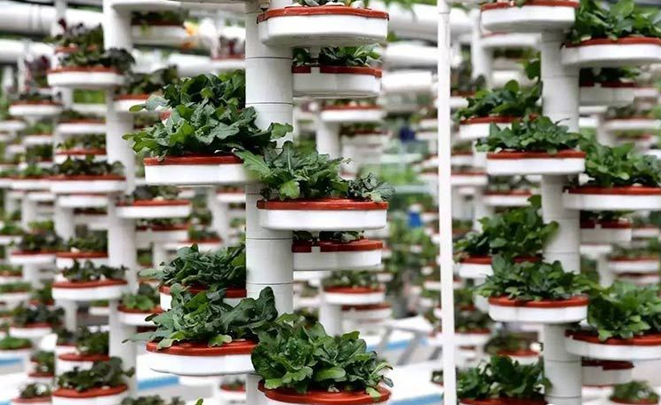 無土栽培螺旋仿生栽培.png 無土栽培螺旋仿生栽培.png