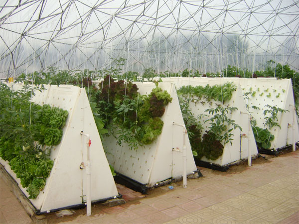 無(wú)土栽培金字塔型氣霧栽培.jpg 無(wú)土栽培金字塔型氣霧栽培.jpg