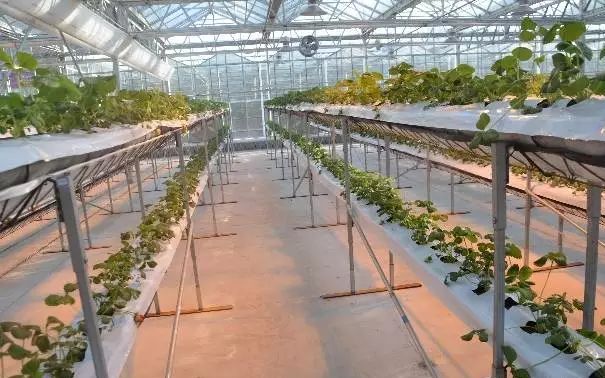 “H”型無土栽培架.jpg “H”型無土栽培架.jpg