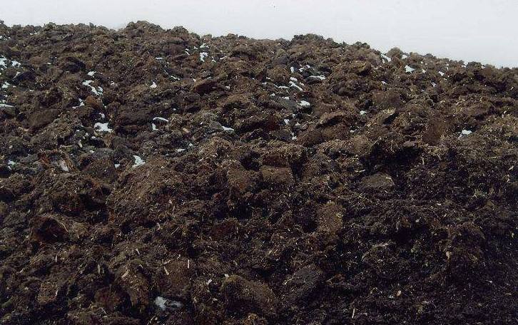 無土栽培草炭土.jpg 無土栽培草炭土.jpg