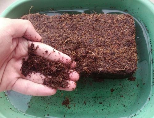 無土栽培基質(zhì)椰糠.jpg 無土栽培基質(zhì)椰糠.jpg