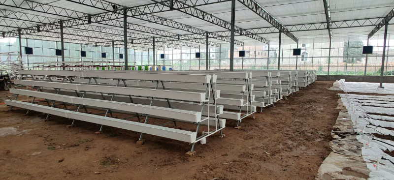 無土栽培架.jpg 無土栽培架.jpg