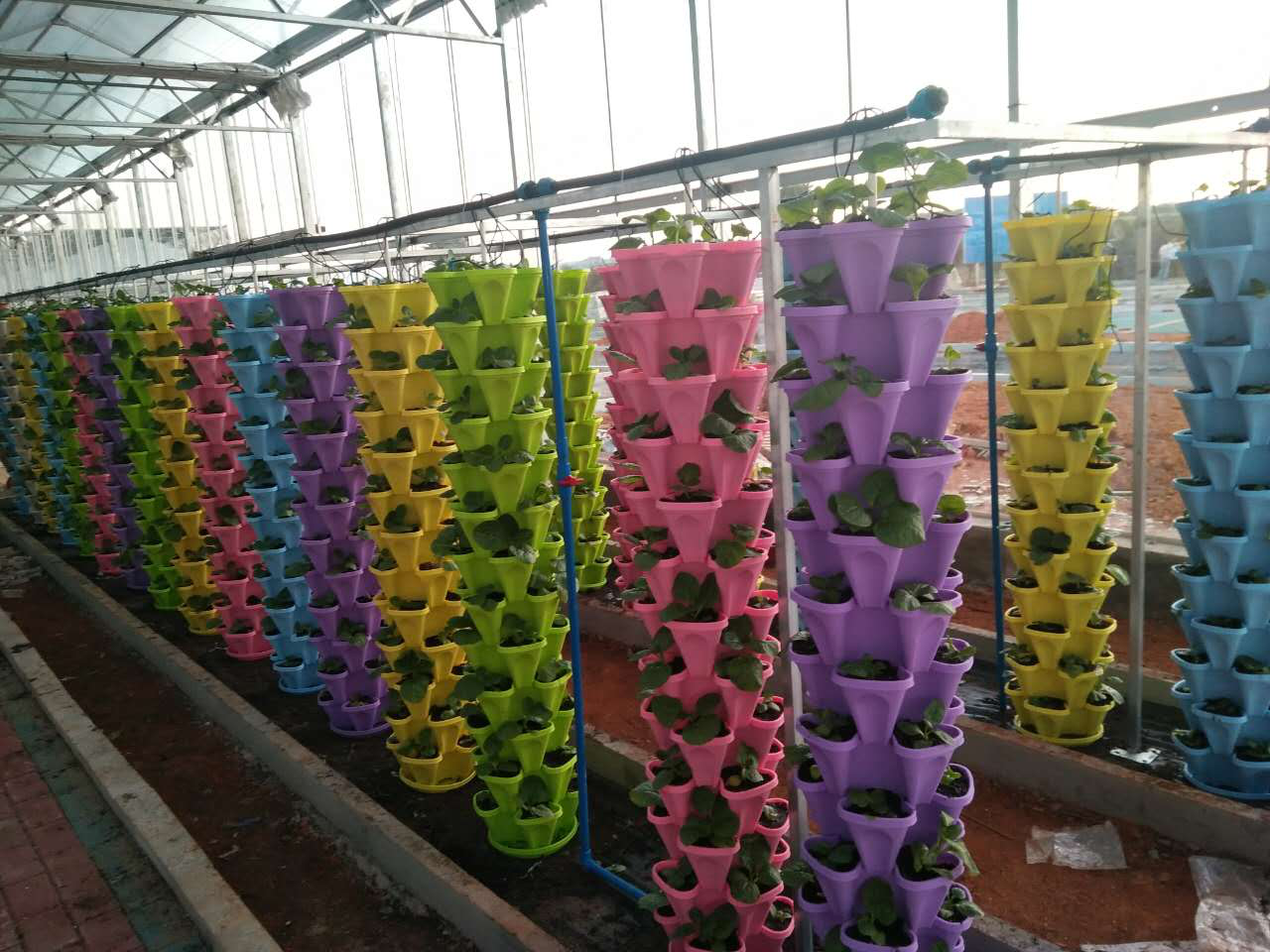 無土栽培立體柱式栽培.png 無土栽培立體柱式栽培.png