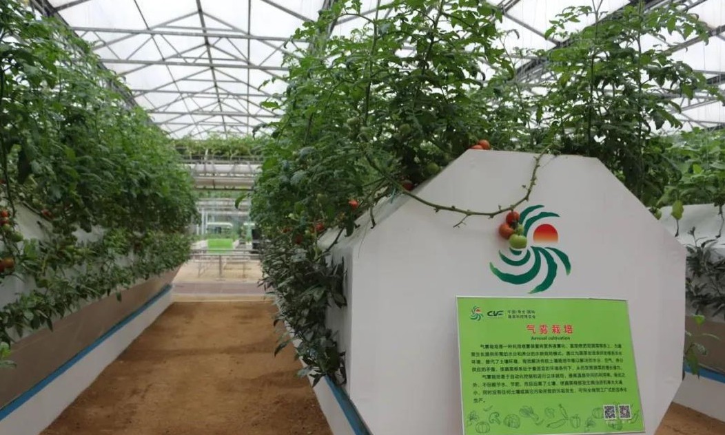 無(wú)土栽培霧培.jpg 無(wú)土栽培霧培.jpg