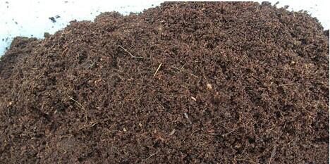 無土栽培育苗土.jpg 無土栽培育苗土.jpg