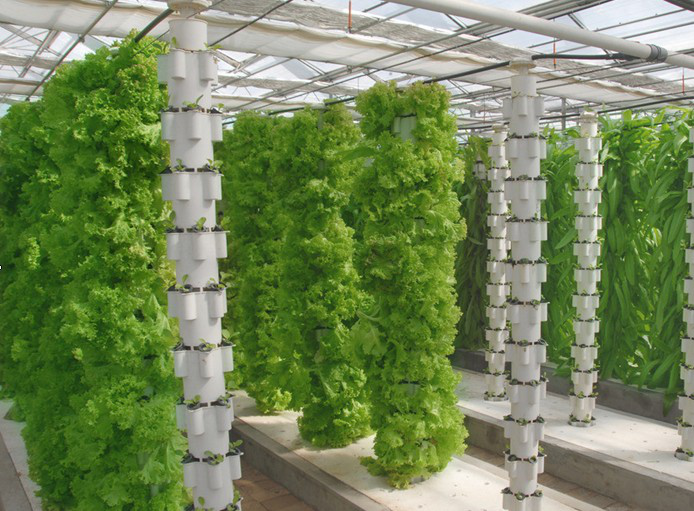 立柱式無土栽培.png 立柱式無土栽培.png