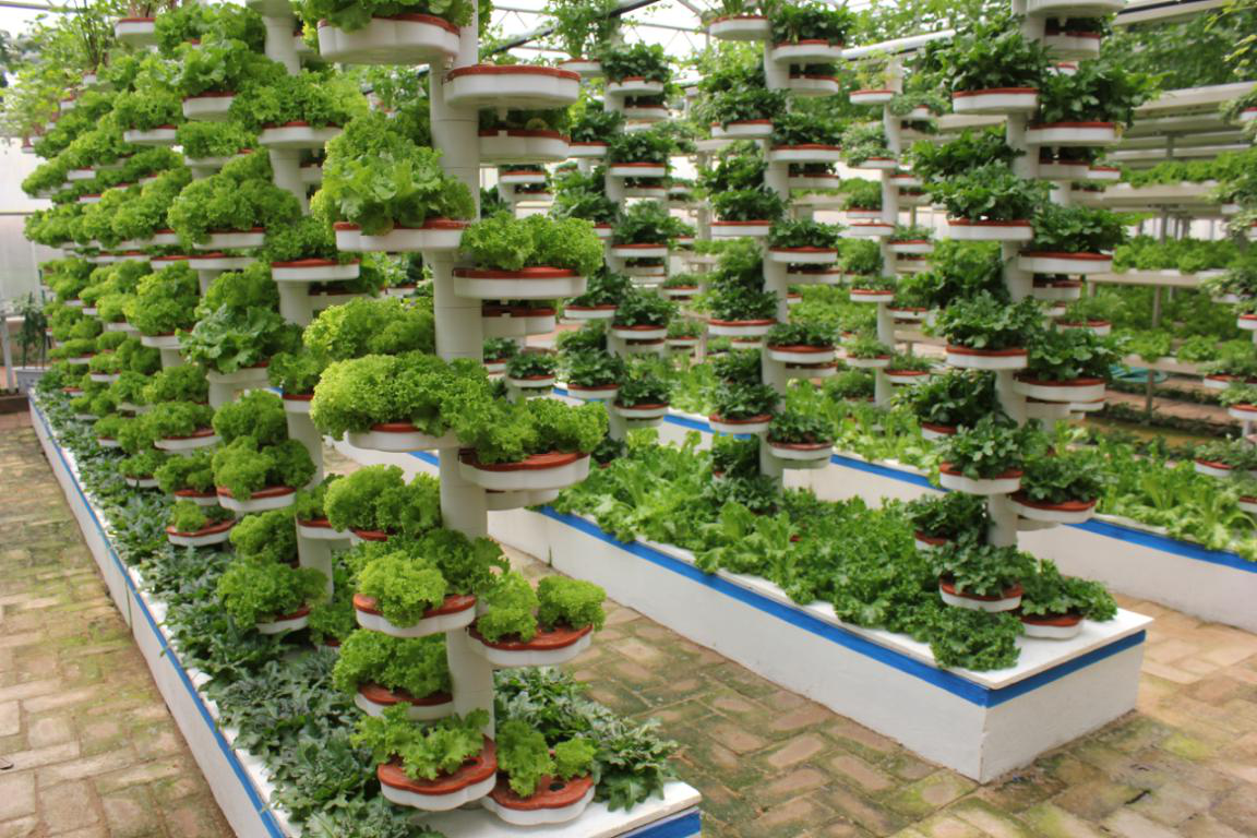 無土栽培仿生螺旋栽培.png 無土栽培仿生螺旋栽培.png