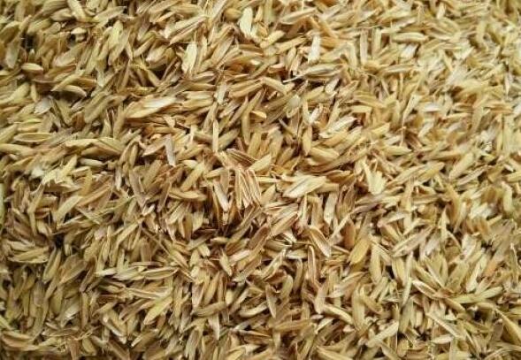 無土栽培基質(zhì)稻殼.jpg 無土栽培基質(zhì)稻殼.jpg