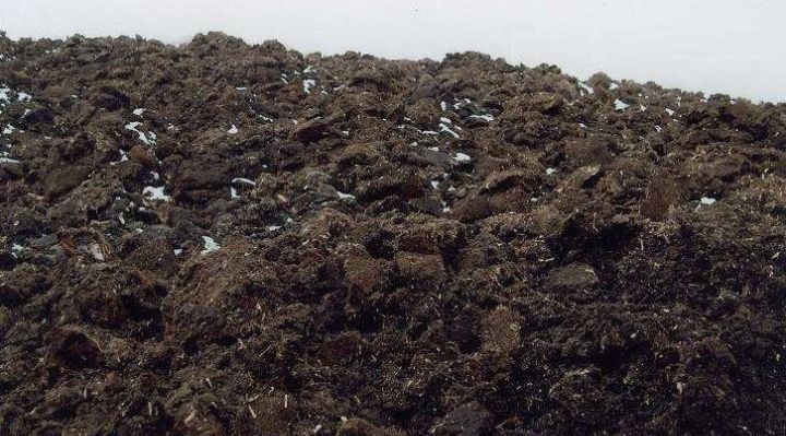 無土栽培草炭土.jpg 無土栽培草炭土.jpg