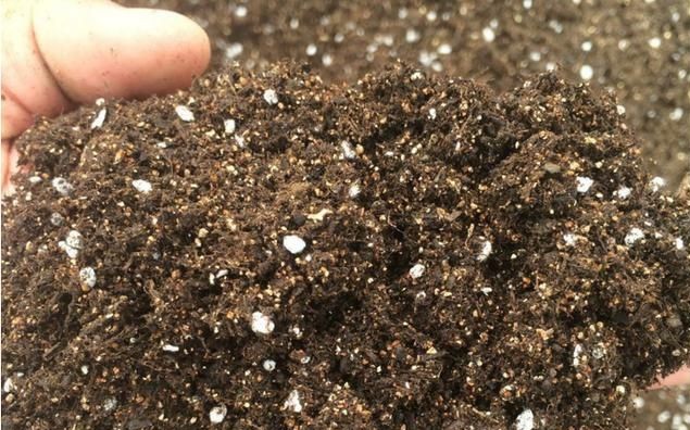 無土栽培基質(zhì)土.jpg 無土栽培基質(zhì)土.jpg