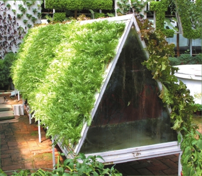 無土栽培霧培.jpg 無土栽培霧培.jpg