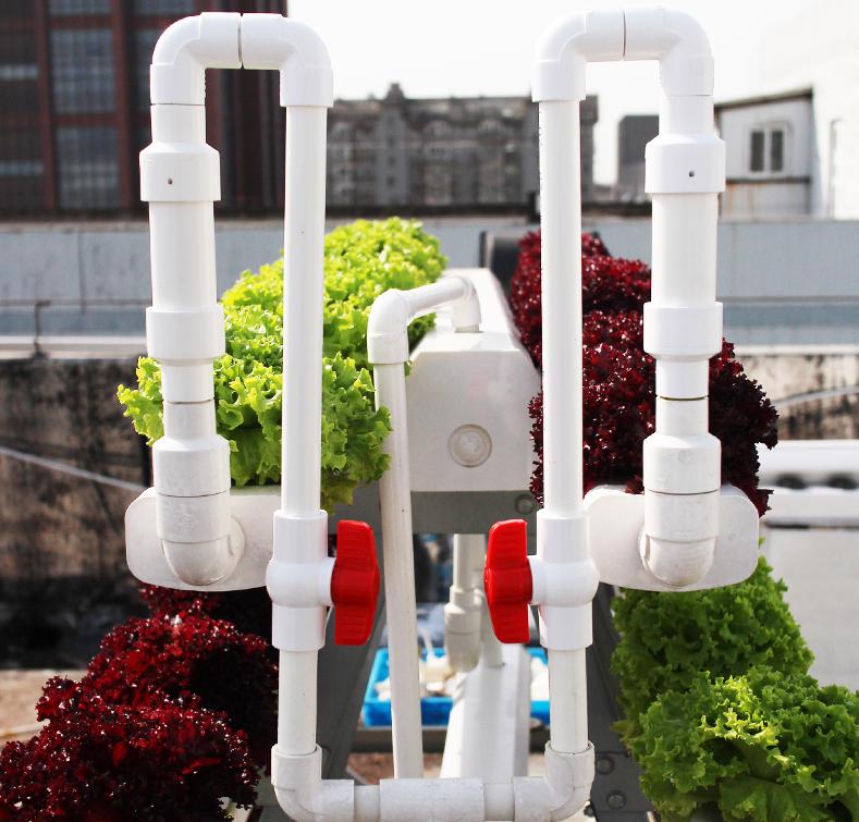 無土栽培管道水培.jpg 無土栽培管道水培.jpg