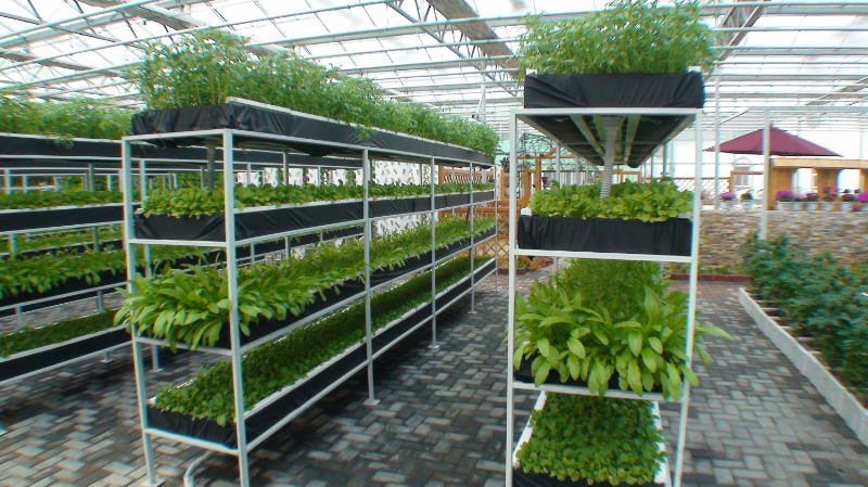 無土栽培深液流技術(shù)(DFT)1.jpg 無土栽培深液流技術(shù)(DFT)1.jpg