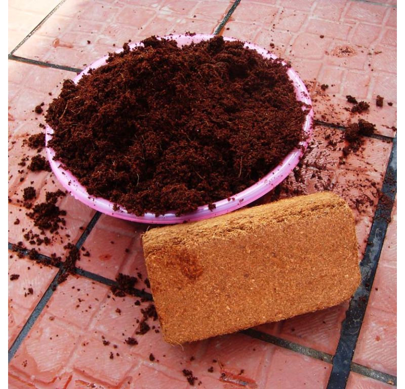 無土栽培基質(zhì)椰糠.jpg 無土栽培基質(zhì)椰糠.jpg