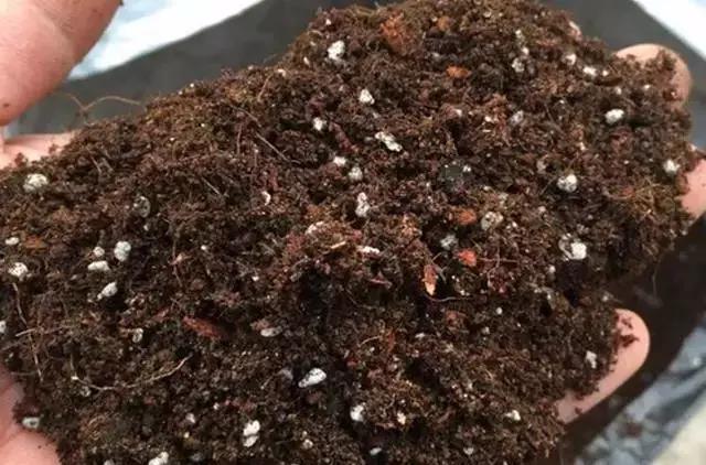 無土栽培基質土.jpg 無土栽培基質土.jpg