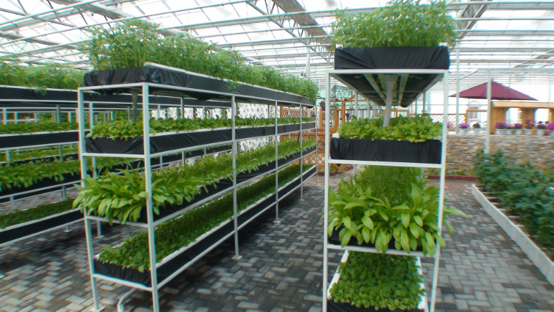 立體NFT無土栽培水培.jpg 立體NFT無土栽培水培.jpg