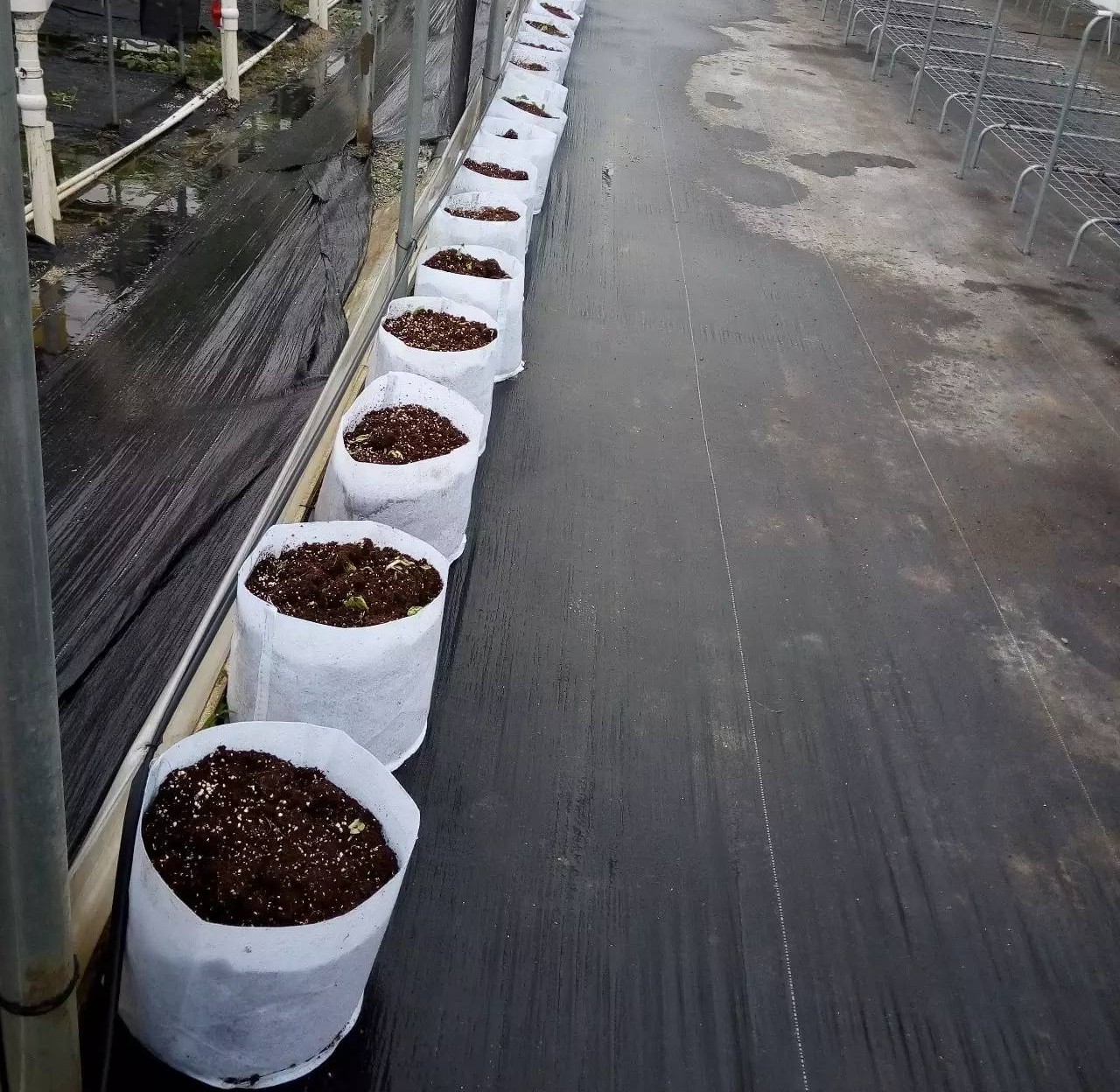 無土栽培無紡布(基質)袋.jpg 無土栽培無紡布(基質)袋.jpg