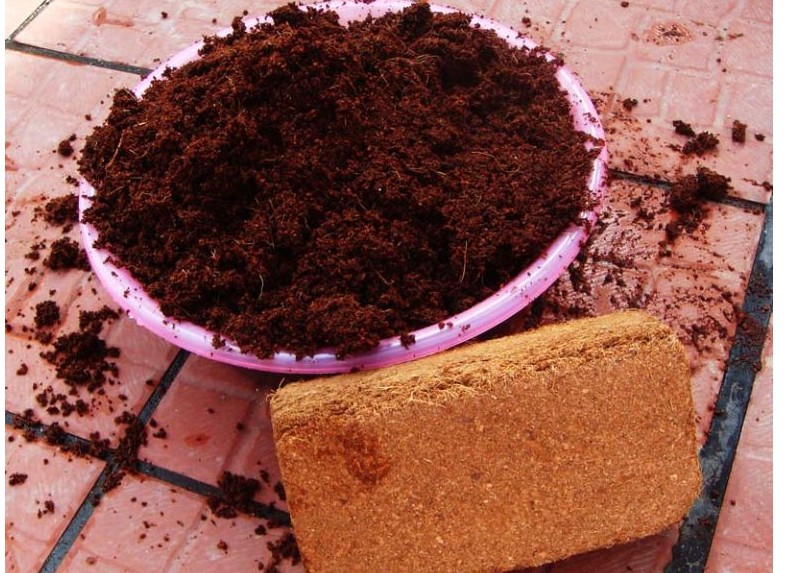 無土栽培基質(zhì)椰糠.jpg 無土栽培基質(zhì)椰糠.jpg