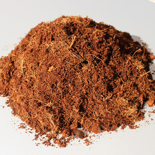 無土栽培基質(zhì)椰糠.jpg 無土栽培基質(zhì)椰糠.jpg