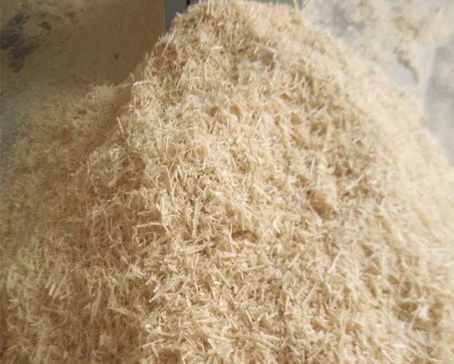 無土栽培基質(zhì)鋸末.jpg 無土栽培基質(zhì)鋸末.jpg