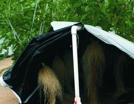 無(wú)土栽培拱棚式氣霧培.jpg 無(wú)土栽培拱棚式氣霧培.jpg