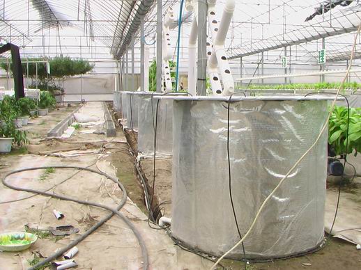 無(wú)土栽培桶式氣霧培.jpg 無(wú)土栽培桶式氣霧培.jpg