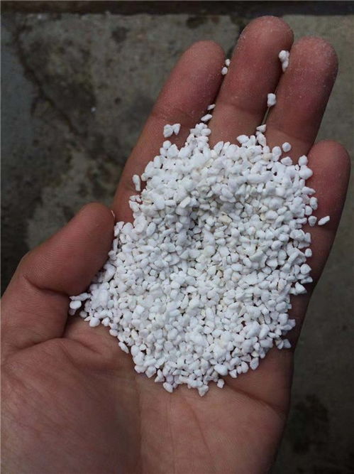 無土栽培基質(zhì)珍珠巖.jpg 無土栽培基質(zhì)珍珠巖.jpg