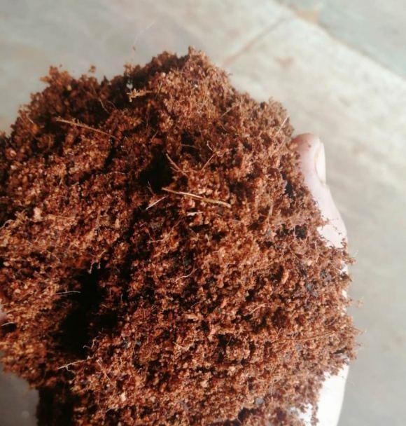 無土栽培基質(zhì)椰糠.jpg 無土栽培基質(zhì)椰糠.jpg