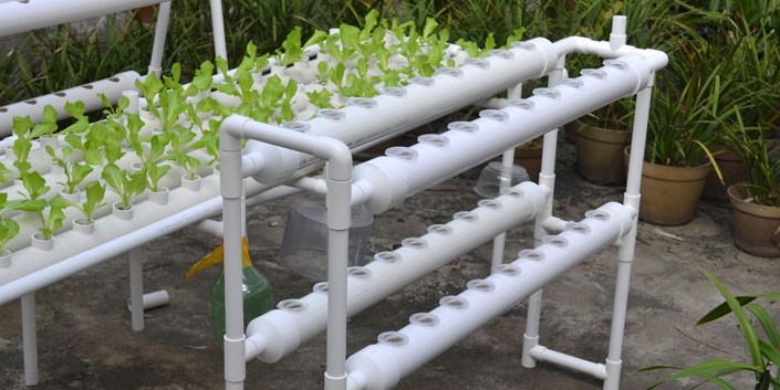 管道式無(wú)土栽培.jpg 管道式無(wú)土栽培.jpg