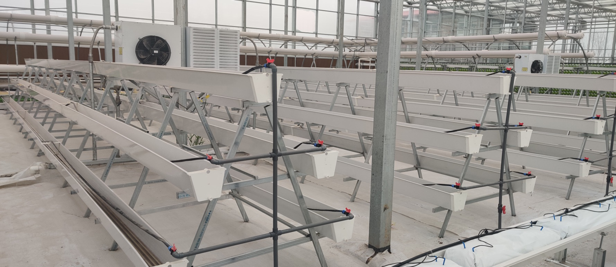 無(wú)土栽培A字架基質(zhì)栽培.png 無(wú)土栽培A字架基質(zhì)栽培.png