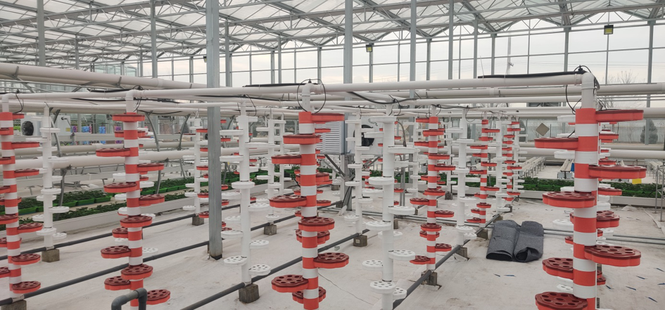 無(wú)土栽培仿生螺旋栽培.png 無(wú)土栽培仿生螺旋栽培.png