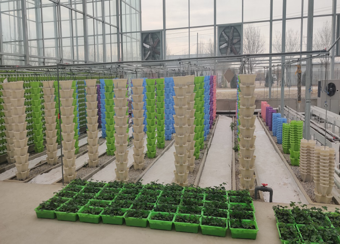 無(wú)土栽培立體柱式栽培.png 無(wú)土栽培立體柱式栽培.png