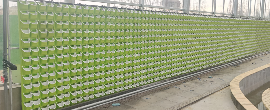 無(wú)土栽培墻體栽培.png 無(wú)土栽培墻體栽培.png