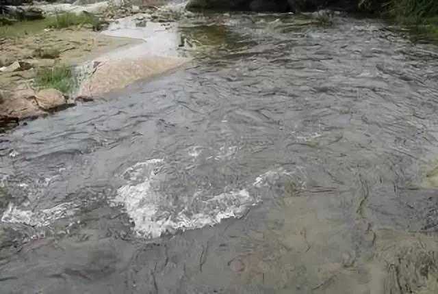 水源要求.jpg 水源要求.jpg