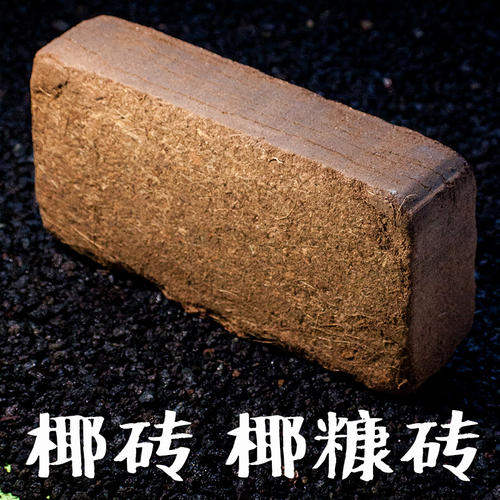 無土栽培椰糠磚.jpg 無土栽培椰糠磚.jpg